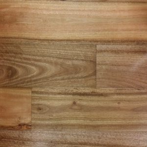 Pacific Spotted Gum