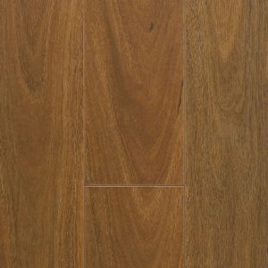 Spotted Gum