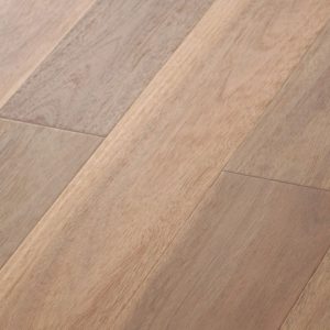 Spotted Gum - Brushed Matte